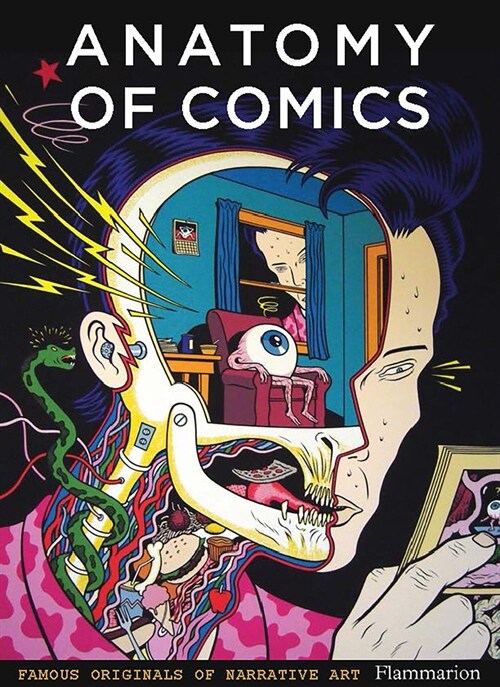 Anatomy of Comics: Famous Originals of Narrative Art (Paperback)