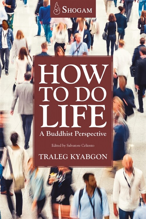 How to Do Life: A Buddhist Perspective (Paperback)