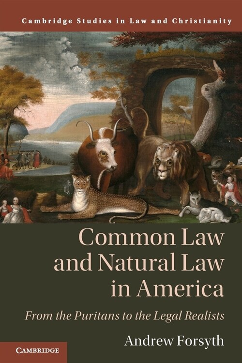 Common Law and Natural Law in America : From the Puritans to the Legal Realists (Paperback, New ed)