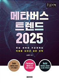 메타버스 트렌드 2025 : 큰글자책 : 현실 세계와 가상세계의 빅뱅을 넘어선 생존 전략 표지이미지