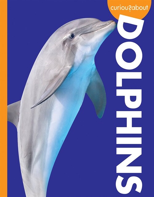 Curious about Dolphins (Paperback)