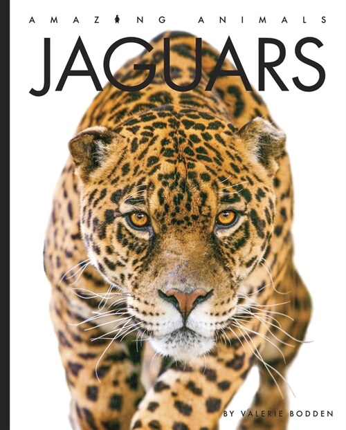 Jaguars (Paperback)