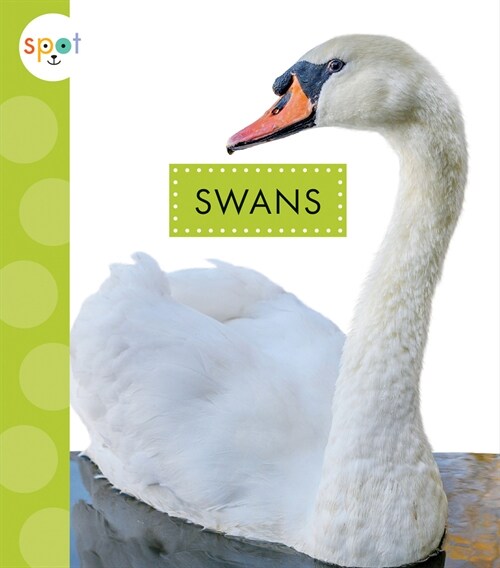 Swans (Paperback)