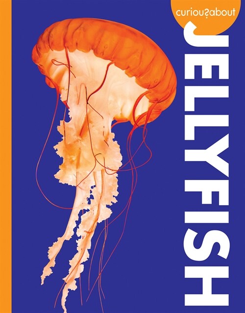 Curious about Jellyfish (Paperback)