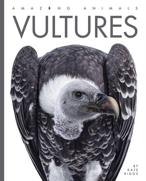 Vultures (Paperback)