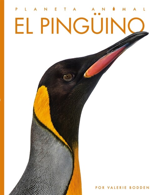 El Ping?no (Paperback)