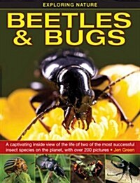 Exploring Nature: Beetles & Bugs (Hardcover)