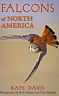 Falcons of North America (Paperback)