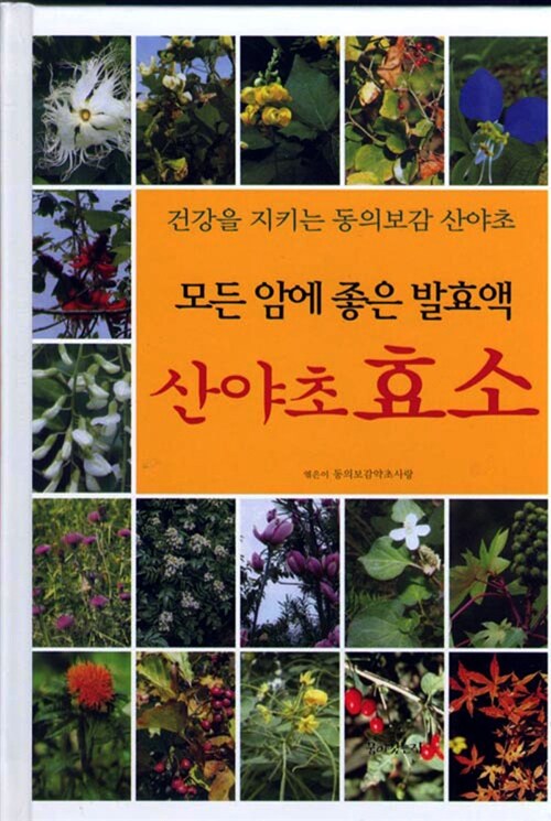 [중고] 모든 암에 좋은 발효액 산야초효소