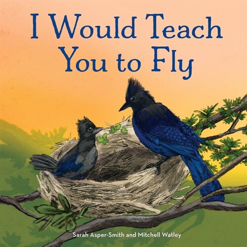 I Would Teach You to Fly (Hardcover)