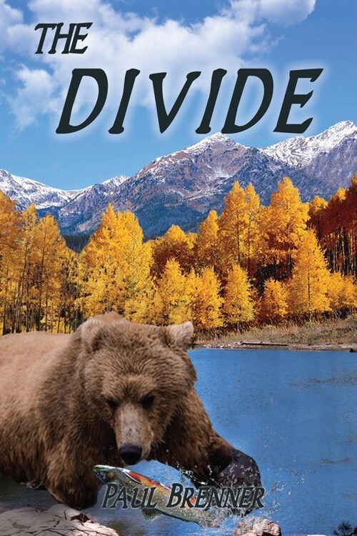 The Divide (Paperback)