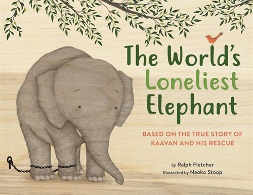 The Worlds Loneliest Elephant: Based on the True Story of Kaavan and His Rescue (Hardcover)