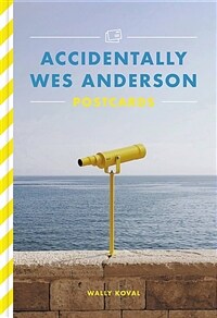Accidentally Wes Anderson Postcards (Novelty)