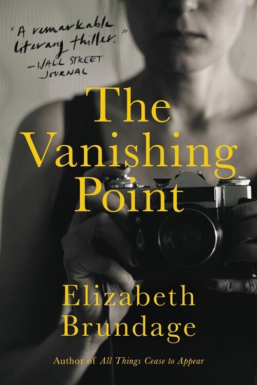 The Vanishing Point (Paperback)