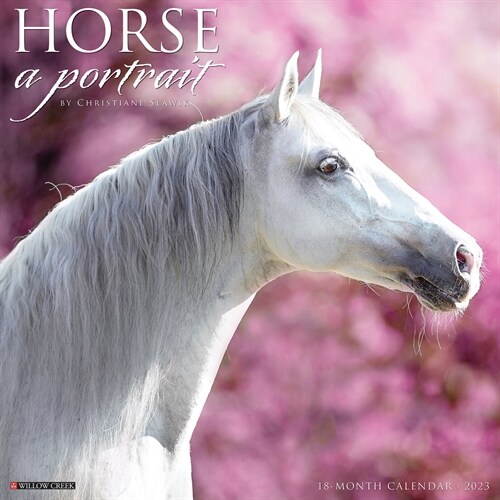 Horse: A Portrait 2023 Wall Calendar (Wall)