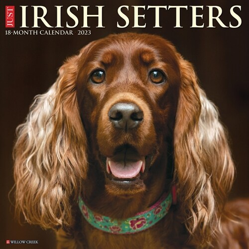 Just Irish Setters 2023 Wall Calendar (Wall)