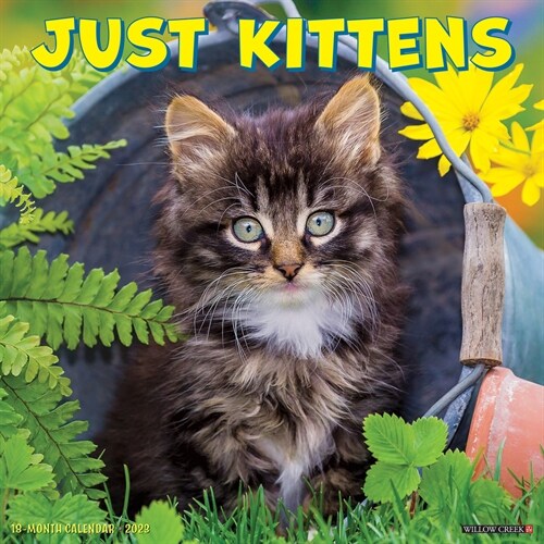 Just Kittens 2023 Wall Calendar (Wall)