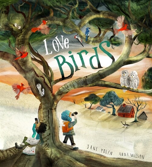 Love Birds: A Picture Book (Hardcover)
