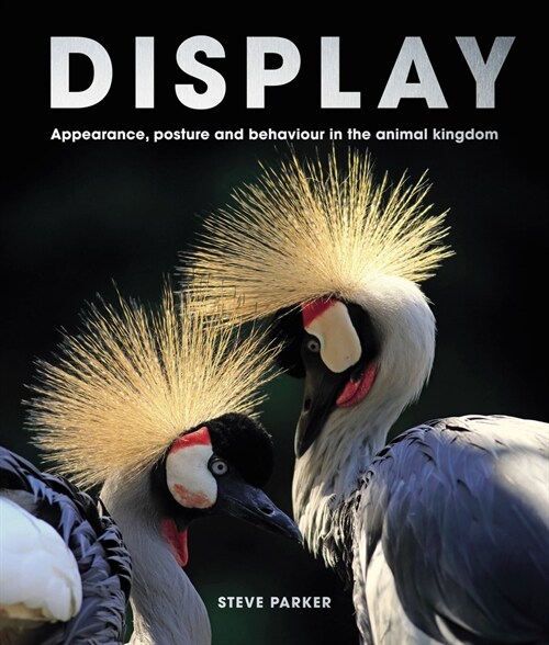 Display : Appearance, Posture and Behaviour in the Animal Kingdom (Hardcover)