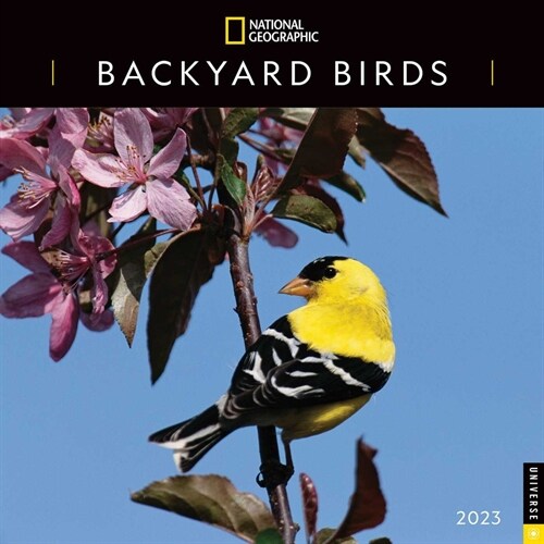 National Geographic: Backyard Birds 2023 Wall Calendar (Wall)