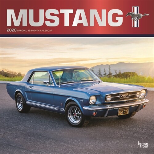 Mustang 2023 Square Foil (Wall)