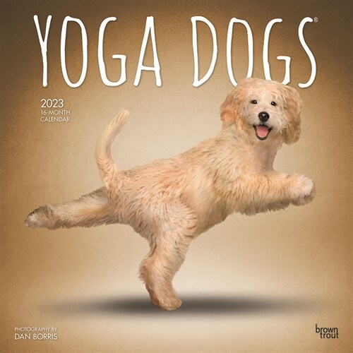 Yoga Dogs 2023 Square (Wall)