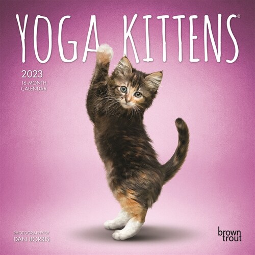 Yoga Kittens 2023 Mini 7x7 (Mini)
