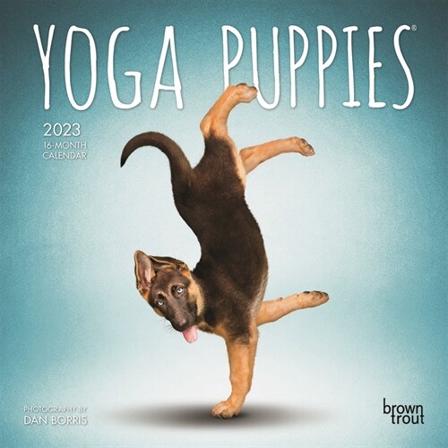 Yoga Puppies 2023 Mini 7x7 (Mini)