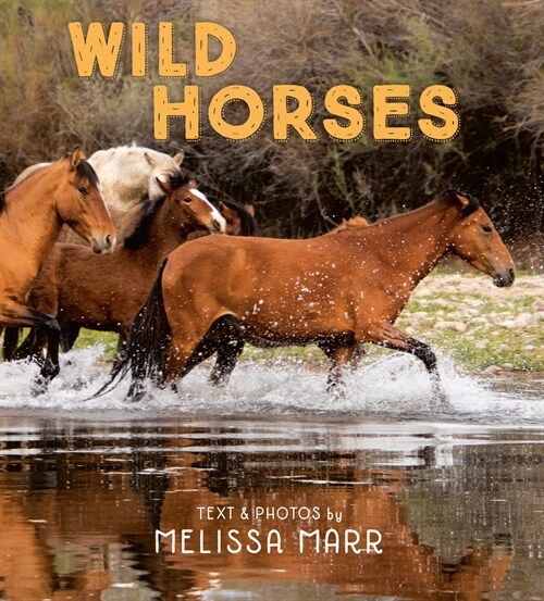 Wild Horses (Hardcover)