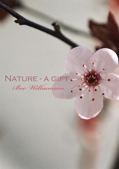 Nature - a gift (Paperback)