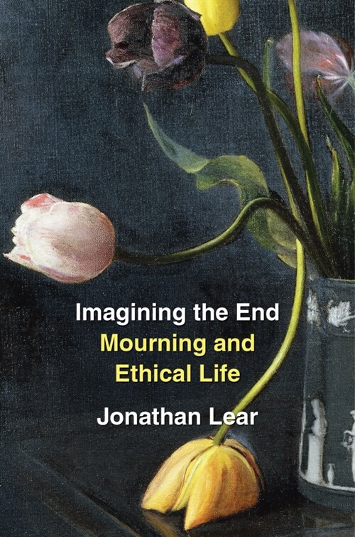 Imagining the End: Mourning and Ethical Life (Hardcover)