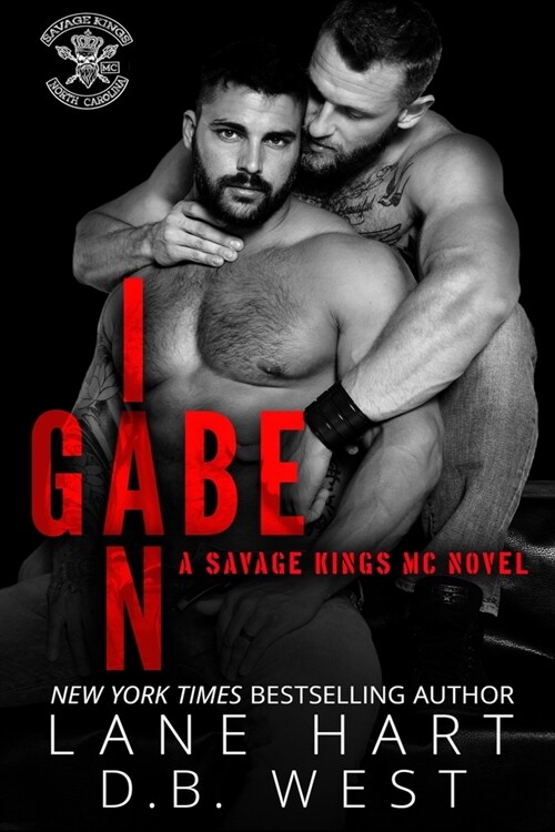 Gabe and Ian (Paperback)