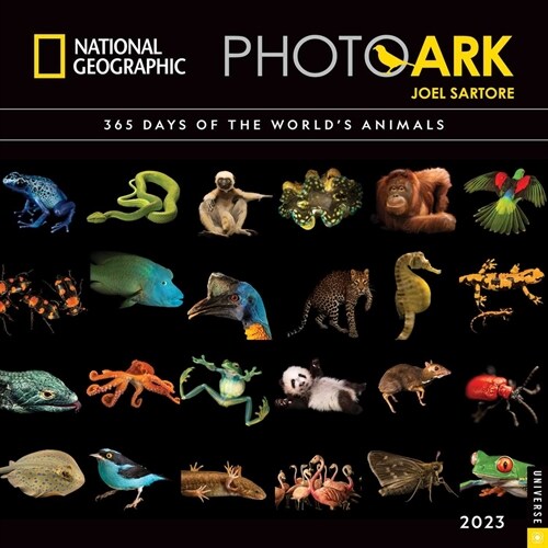 National Geographic Photo Ark 2023 Wall Calendar: 365 Days of the Worlds Animals (Wall)