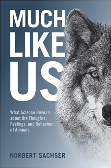 Much Like Us : What Science Reveals about the Thoughts, Feelings, and Behaviour of Animals (Hardcover)