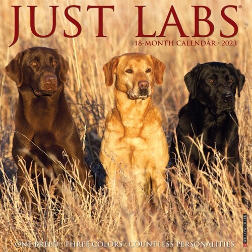 Just Labs 2023 Wall Calendar (Wall)