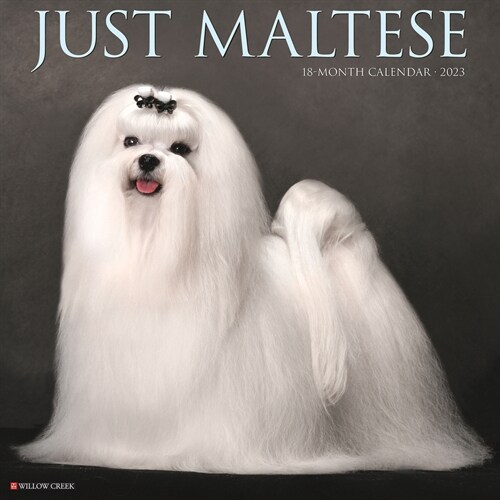 Just Maltese 2023 Wall Calendar (Wall)