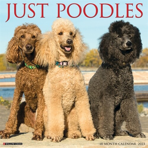 Just Poodles 2023 Wall Calendar (Wall)