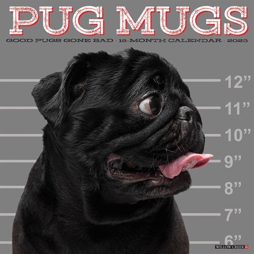 Pug Mugs 2023 Wall Calendar (Wall)