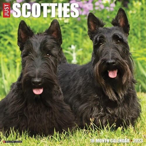 Just Scotties 2023 Wall Calendar (Wall)