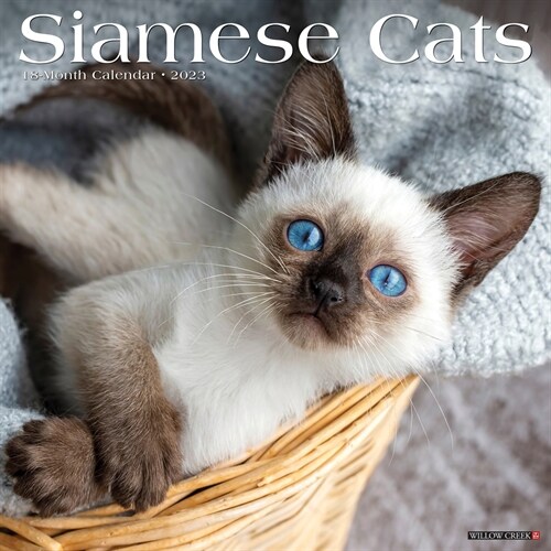 Siamese Cats 2023 Wall Calendar (Wall)