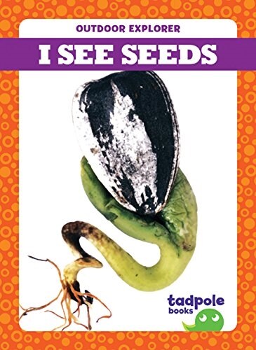 I See Seeds (Other)