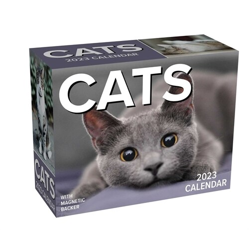 Cats 2023 Mini Day-To-Day Calendar (Daily)