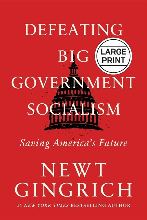 Defeating Big Government Socialism: Saving Americas Future (Hardcover)