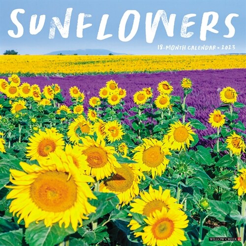 Sunflowers 2023 Wall Calendar (Wall)