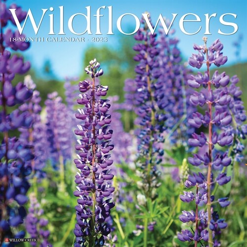 Wildflowers 2023 Wall Calendar (Wall)