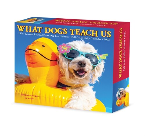 What Dogs Teach Us 2023 Box Calendar (Daily)