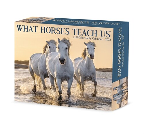 What Horses Teach Us 2023 Box Calendar (Daily)
