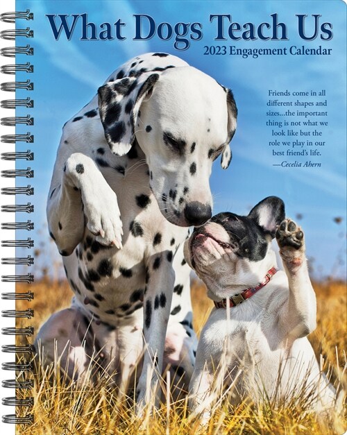 What Dogs Teach Us 2023 Engagement Calendar (Desk)