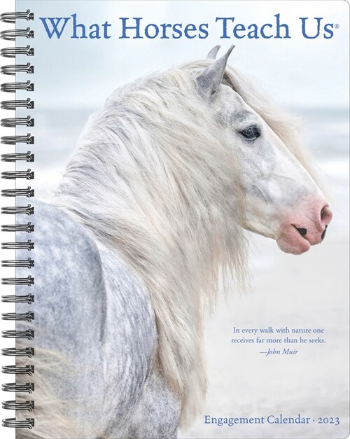 What Horses Teach Us 2023 Engagement Calendar (Desk)