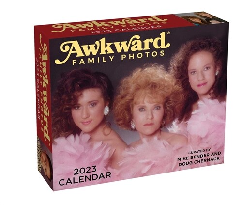 Awkward Family Photos 2023 Day-To-Day Calendar (Daily)